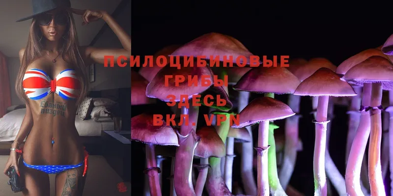 Псилоцибиновые грибы Magic Shrooms  Кувандык 